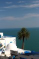 /album/tunis-3-10-9-2013/img-6592-jpg/