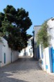 /album/tunis-3-10-9-2013/img-6596-jpg/