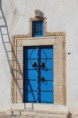 /album/tunis-3-10-9-2013/img-6599-jpg/